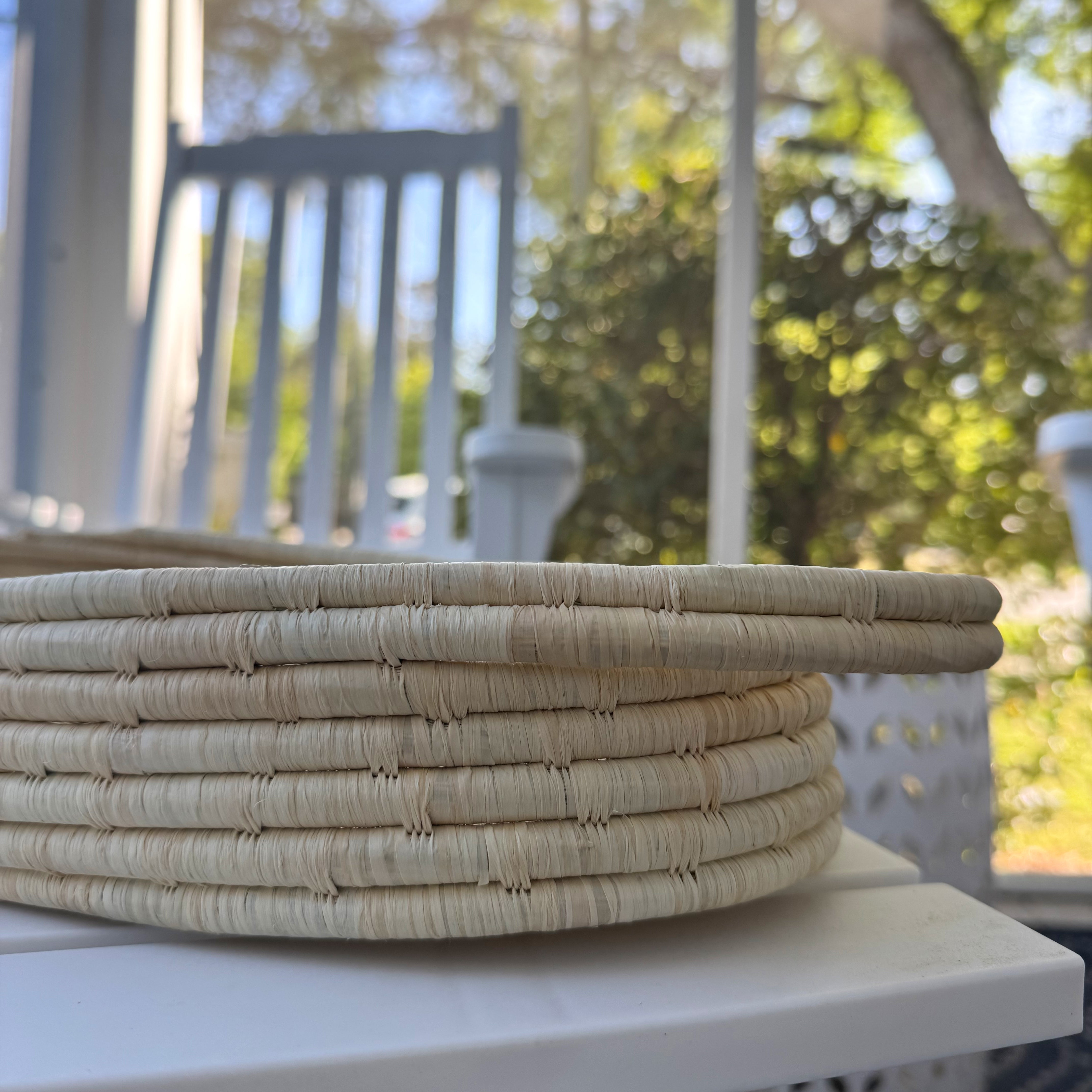Tray Basket #5