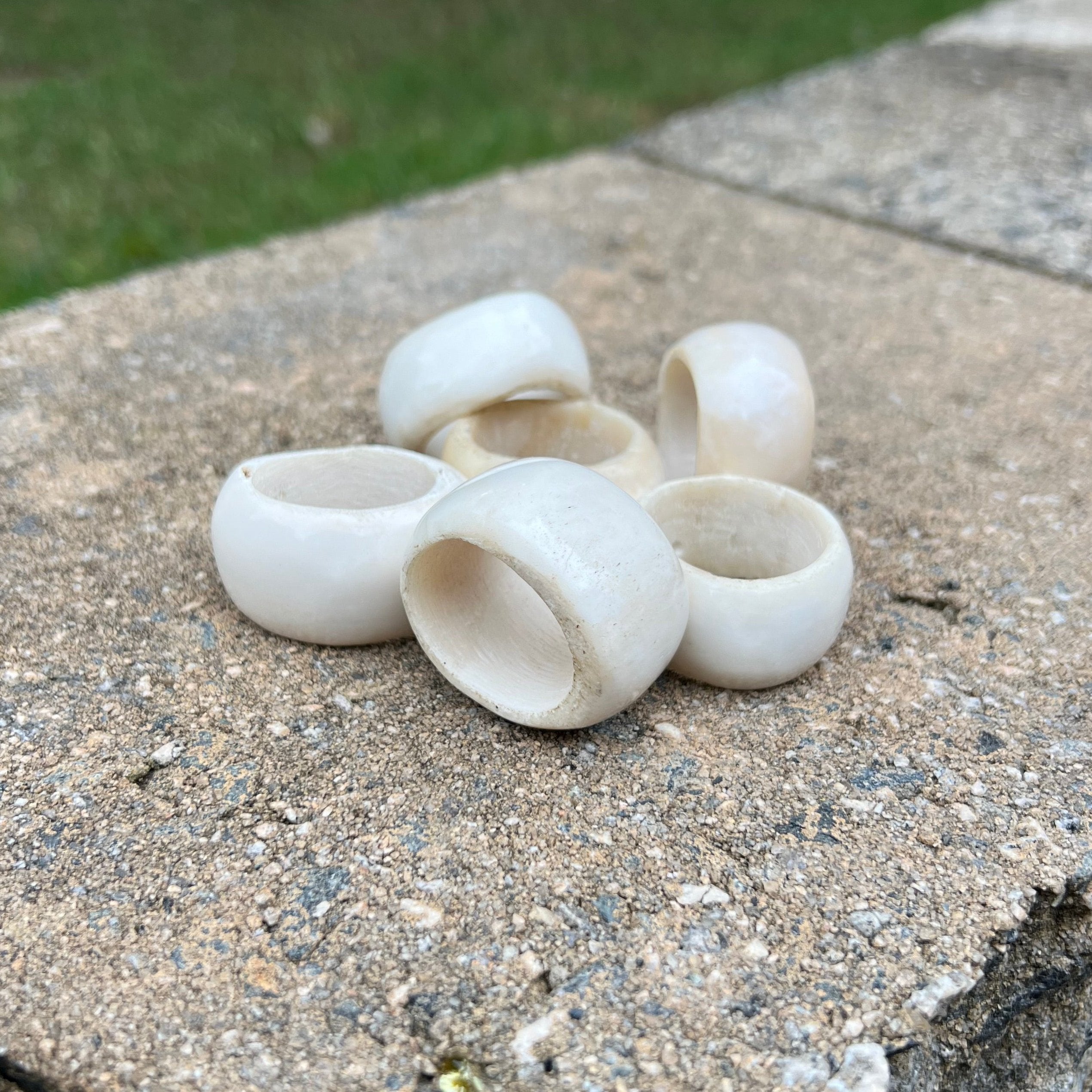 Bone Napkin Ring Set #7